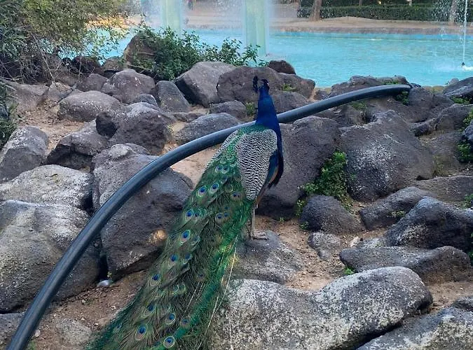 Tu Casa Del Mar * Torrevieja